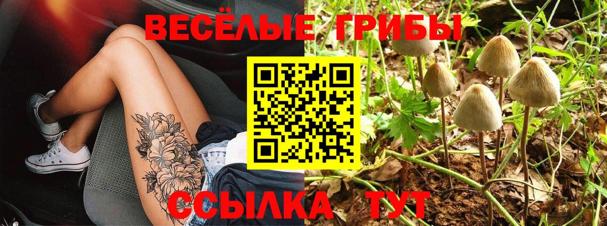 Псилоцибиновые грибы Psilocybine cubensis Приморско-Ахтарск